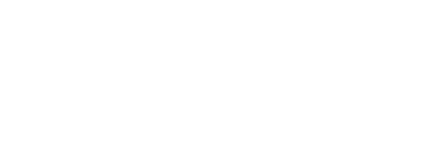 Insitutouniversitarioliderazgo